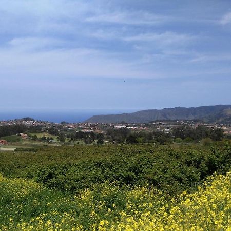 Apartamento Privado En Una Zona Tranquila Y Proxima Al Aeropuerto Tf Norte Y A La Ciudad De San Cristobal De La Laguna . 객실 사진